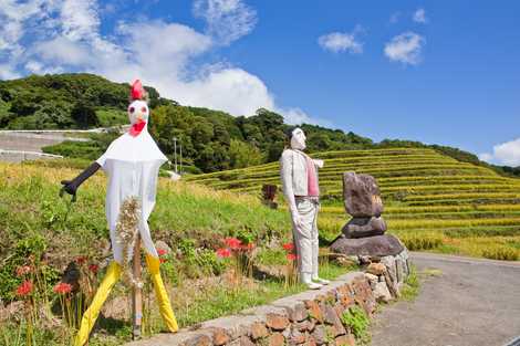 大中尾棚田の画像