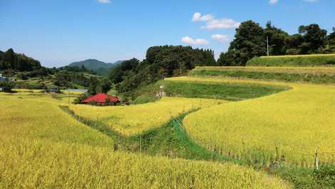 菅迫田の画像