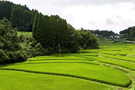 軸丸北の棚田 佐伯 竹田 景観地 展望台 灯台 の施設情報 いつもnavi