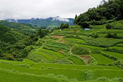 徳別当の棚田の画像