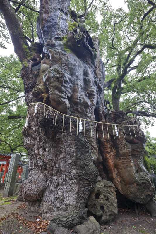 宇美八幡宮宝物殿の画像