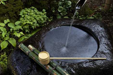 ニテコ清水の画像