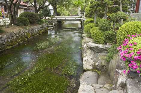 居醒の清水の画像