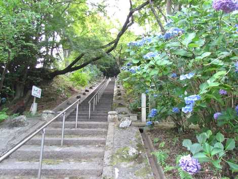 小野妹子墓の画像