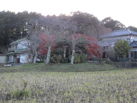 仏嶋山古墳の画像