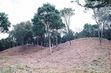 権現山古墳の画像