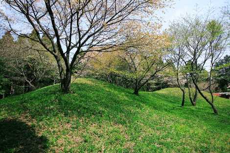 中台古墳群殿塚・姫塚古墳の画像