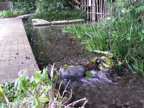 ママ下湧水公園の画像