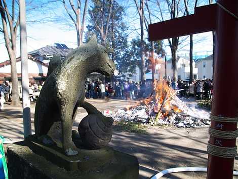 青柳稲荷神社の画像