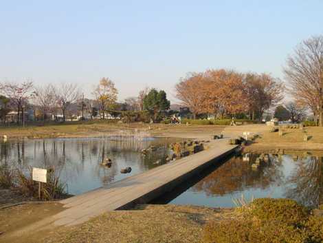 清瀬金山緑地公園の画像