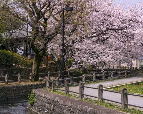 大丸親水公園の画像