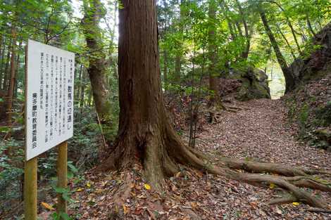 数馬の切通しの画像