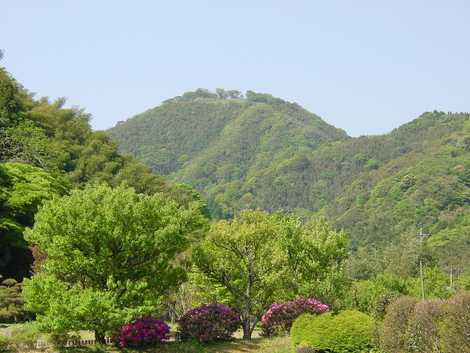 山吹城跡の画像