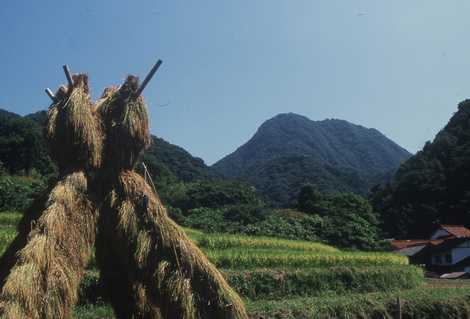 矢滝城跡の画像