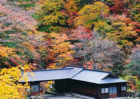 勝花亭の画像