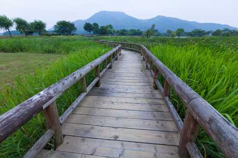 上堰潟公園の画像