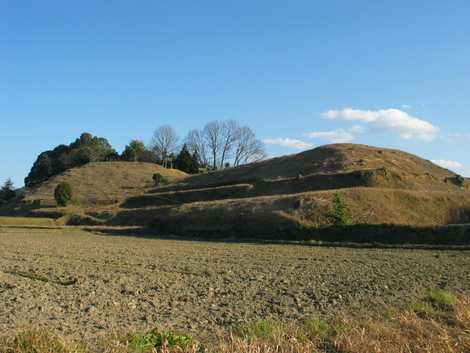 富田茶臼山古墳の画像