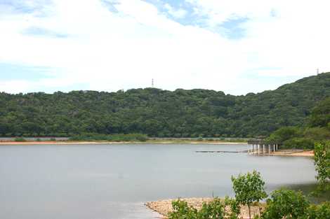 初立池公園の画像