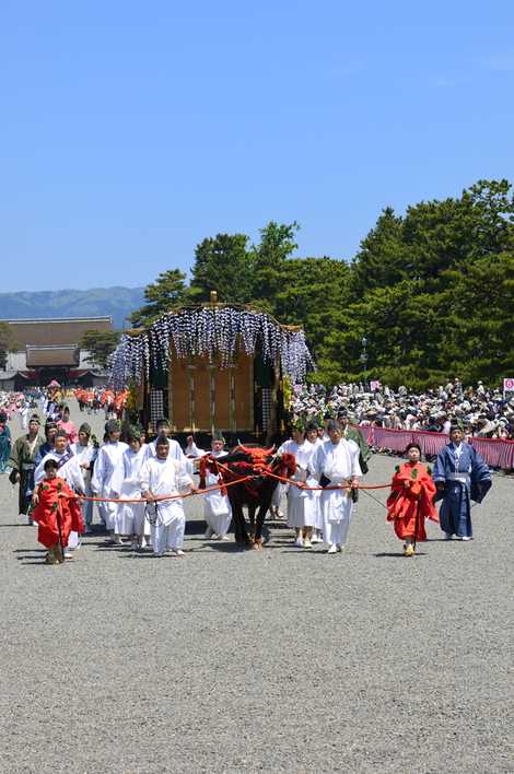 葵祭の画像