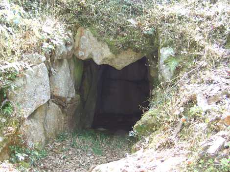 横大道古墳群の画像