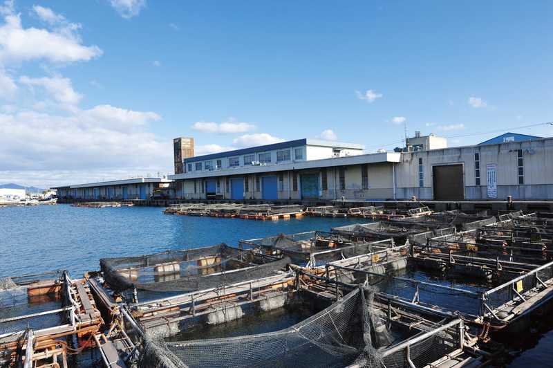 南風泊市場 下関 の施設情報 ゼンリンいつもnavi