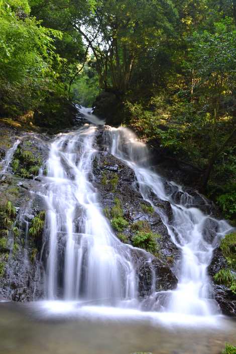 白岩の滝の画像