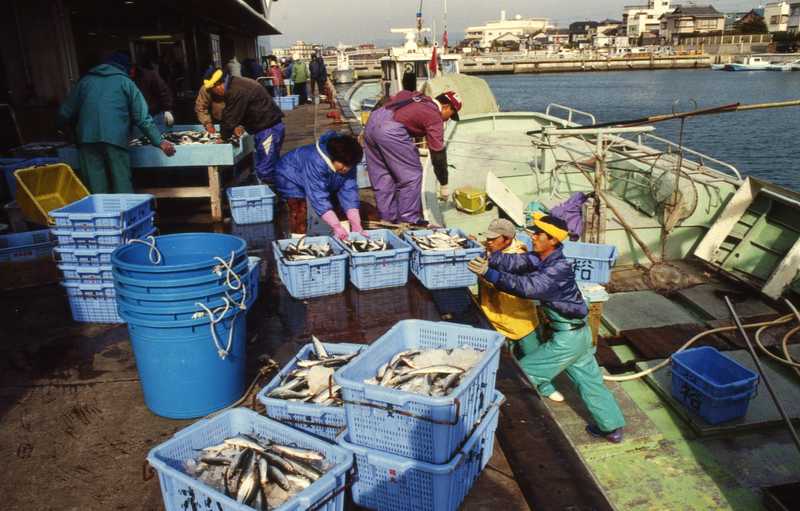 浜名漁協 本所(浜松・浜名湖)の施設情報｜ゼンリンいつもNAVI