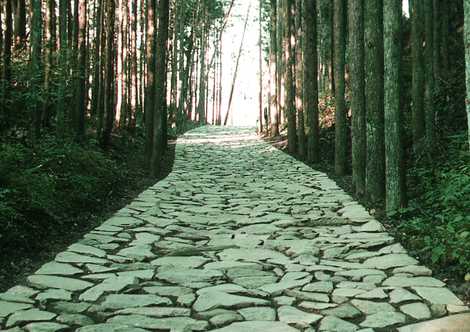 東海道・箱根旧街道石畳の画像