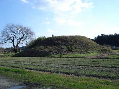 野古墳群の画像