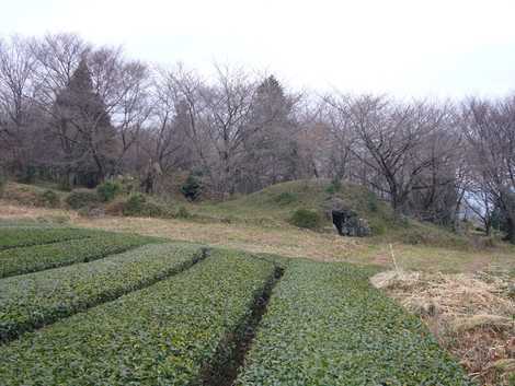 願成寺西墳之越古墳群の画像