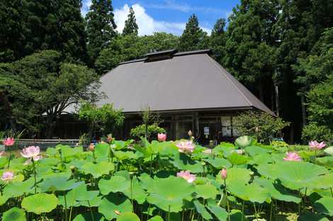 多聞院　伊澤家住宅の画像