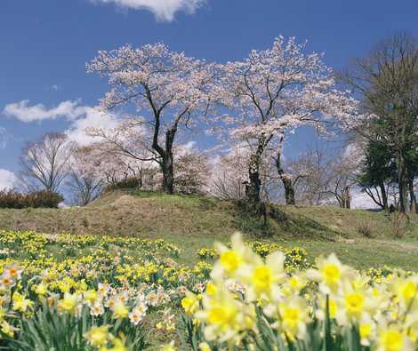 福与城跡の画像