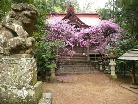 宮尾神社の画像