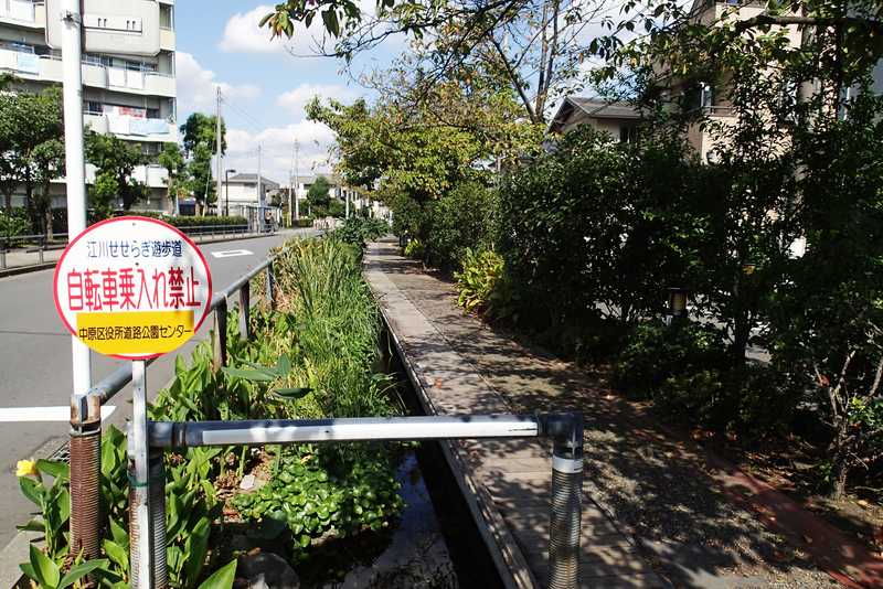江川せせらぎ遊歩道 武蔵小杉 日吉 の施設情報 ゼンリンいつもnavi