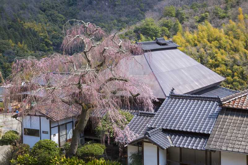 福泉坊の画像