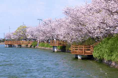 十連寺公園の画像