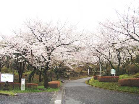 施設の画像