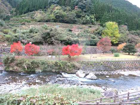 白岩戸公園の画像