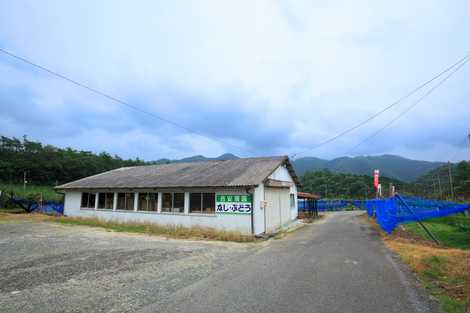 吉安農園 吉安農園の画像