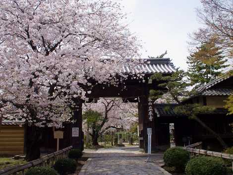 立本寺の画像