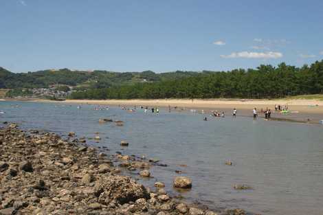 野田浜海水浴場 野田浜海水浴場の画像