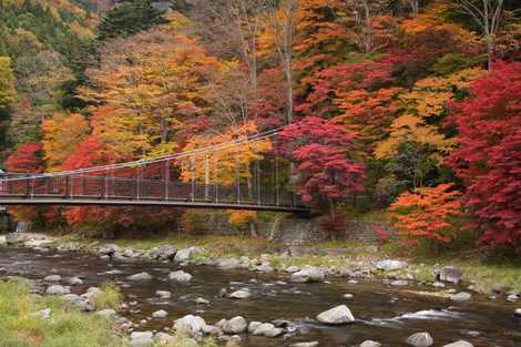 紅の吊橋の画像