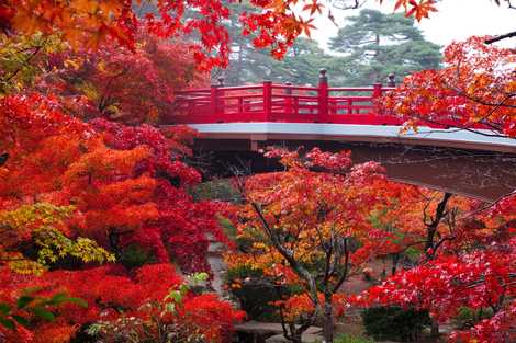 観月橋の画像