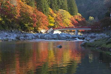 香嵐渓・待月橋の画像