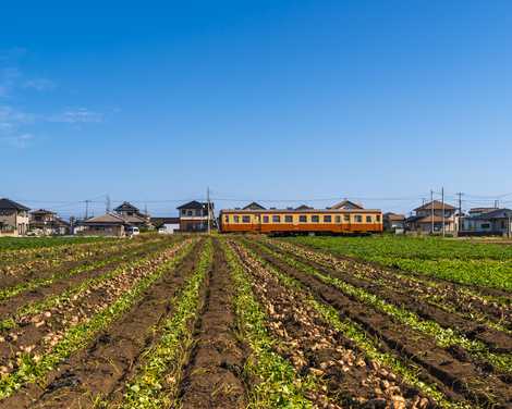 ひたちなか海浜鉄道　平磯～磯崎の画像