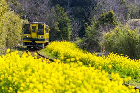 いすみ鉄道　久我原～東総元の画像