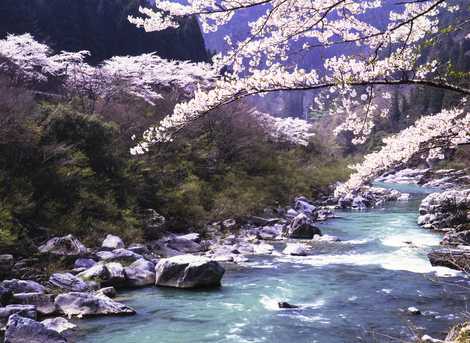 飛騨川の画像