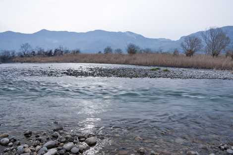 紀の川の画像