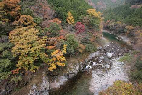 仁淀川の画像