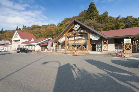 がいせん桜　新庄宿の画像